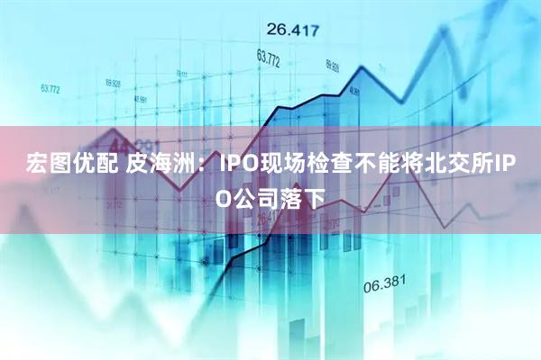 宏图优配 皮海洲：IPO现场检查不能将北交所IPO公司落下