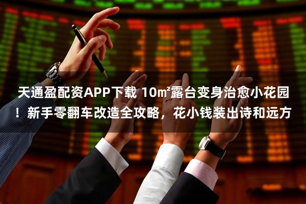 天通盈配资APP下载 10㎡露台变身治愈小花园！新手零翻车改造全攻略，花小钱装出诗和远方